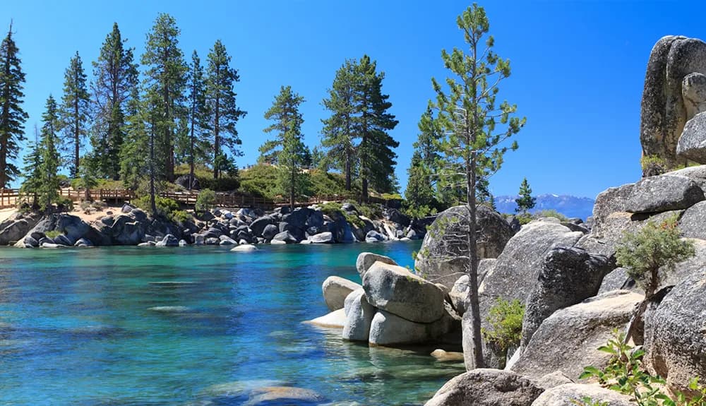 Snow-covered evergreen forest blanketed in fresh winter snow near Tahoe Vista, CA.