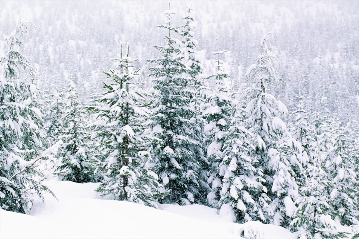 Colorful sunset over Lake Tahoe with forested hills and calm reflective water near Tahoe Vista, CA.