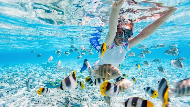 Elegant table setting for a charity event